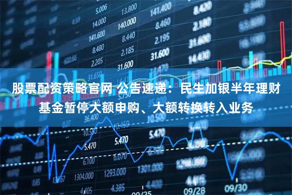 股票配资策略官网 公告速递：民生加银半年理财基金暂停大额申购、大额转换转入业务