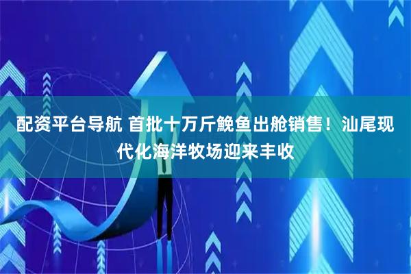 配资平台导航 首批十万斤鮸鱼出舱销售！汕尾现代化海洋牧场迎来丰收